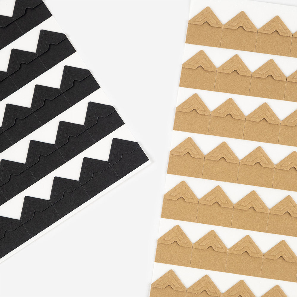 Cantos para Fotos intro