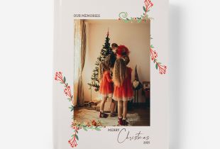 Álbum Enchanted Christmas intro